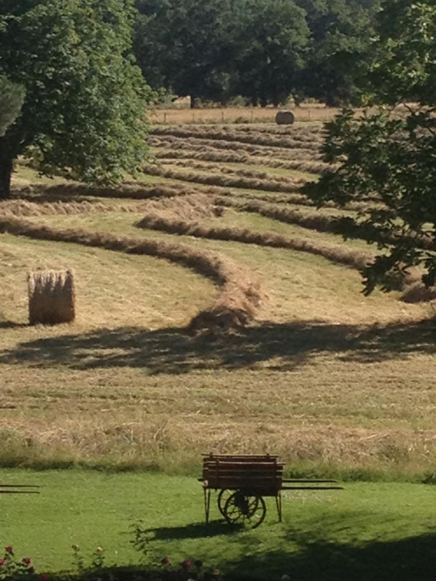 Domaine Du Buc, Le Chateau Marssac-sur-Tarn Exteriör bild